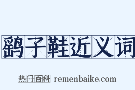 鹞子鞋近义词是什么意思的图片